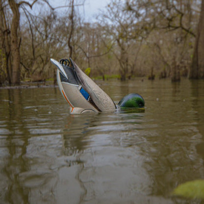 Jahpoo Flyway Deputy motion duck decoy in the downward feeding motion