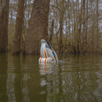 Jahpoo Flyway Deputy Motion Duck Decoy displaying the butt up flash