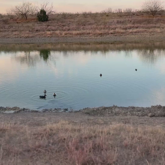 Video of the Jahpoo Flyway Deputy Motion Duck Decoy on open water creating ripples